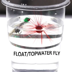 Bimoo Mosca de espuma flotante con jig head - Topwater para lubina