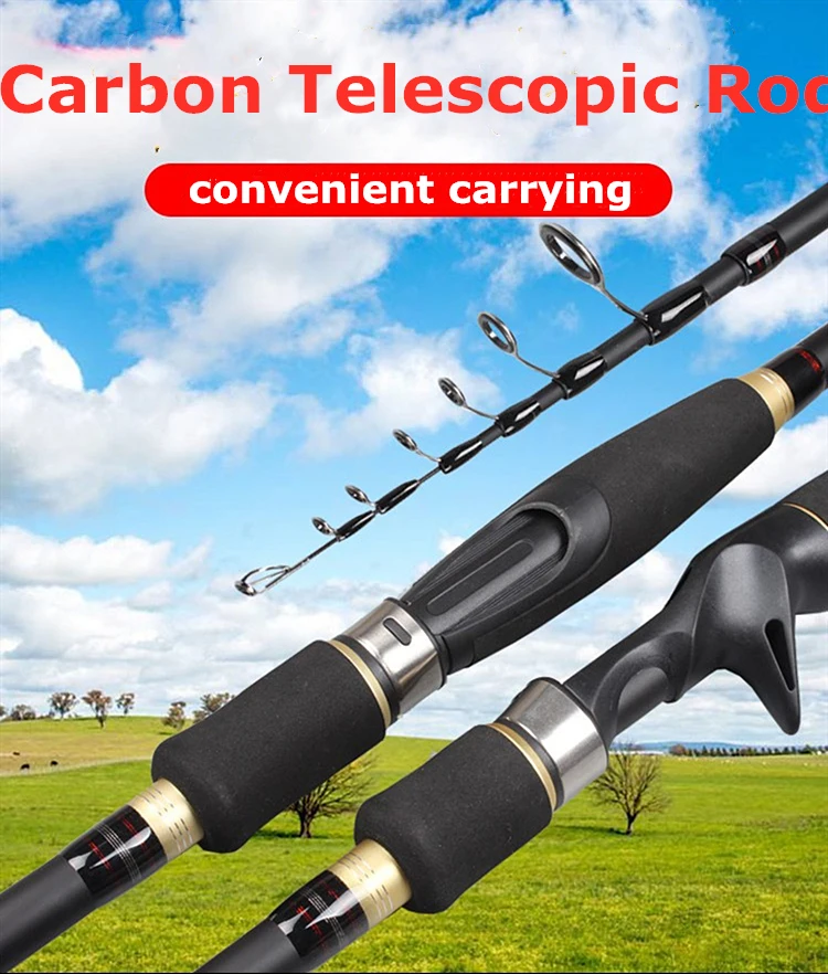 Caña telescópica carbono y anillos de guía