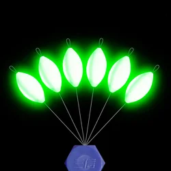 Bobber B333 - Flotador luminoso para pesca nocturna con luz brillante