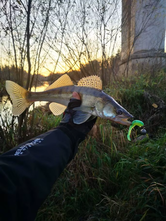 Señuelo Jerkbait Supercontinent – 11cm blando para lubina y lucio - imagen 5