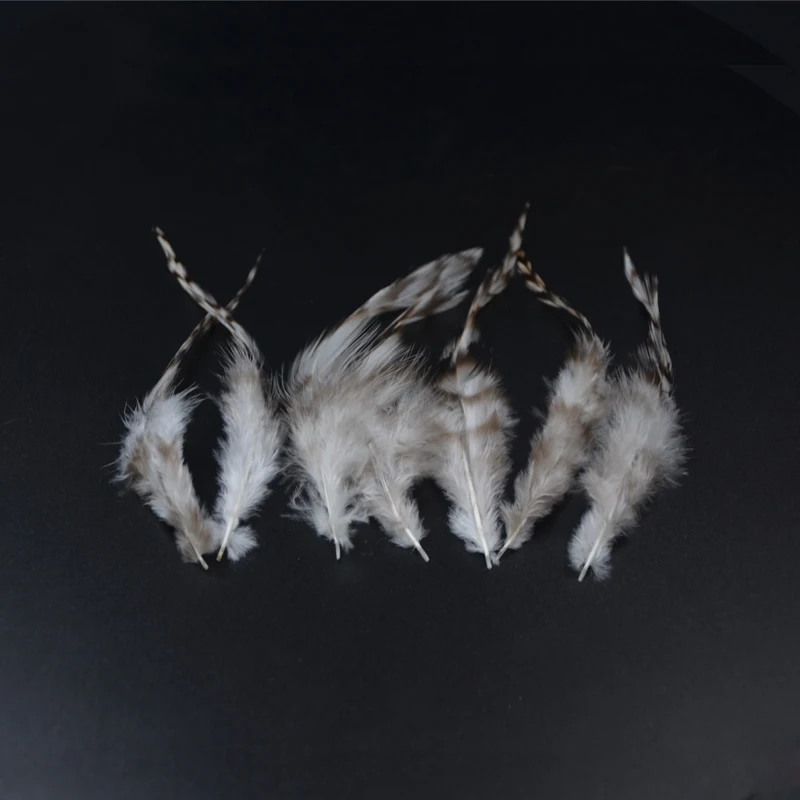 Plumas estriadas de gallo
