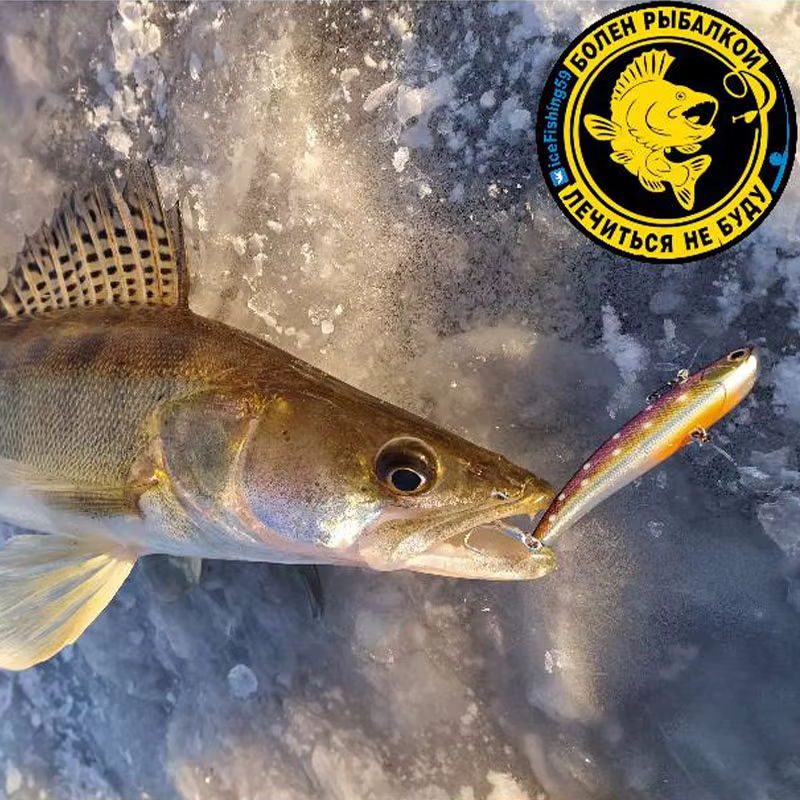 WALK FISH 14g – Señuelo walk 7,9cm hundido para lubina y lucio - imagen 5