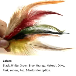 Wifreo Plumas Hackle Pollo Natural para Streamer y Bugger