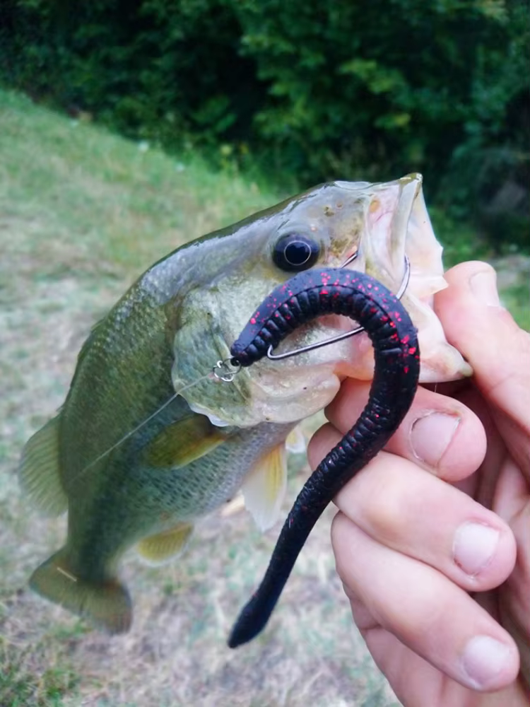 Esfishing Vinilo Blando 160mm – Señuelo silicone para agua salada - imagen 2