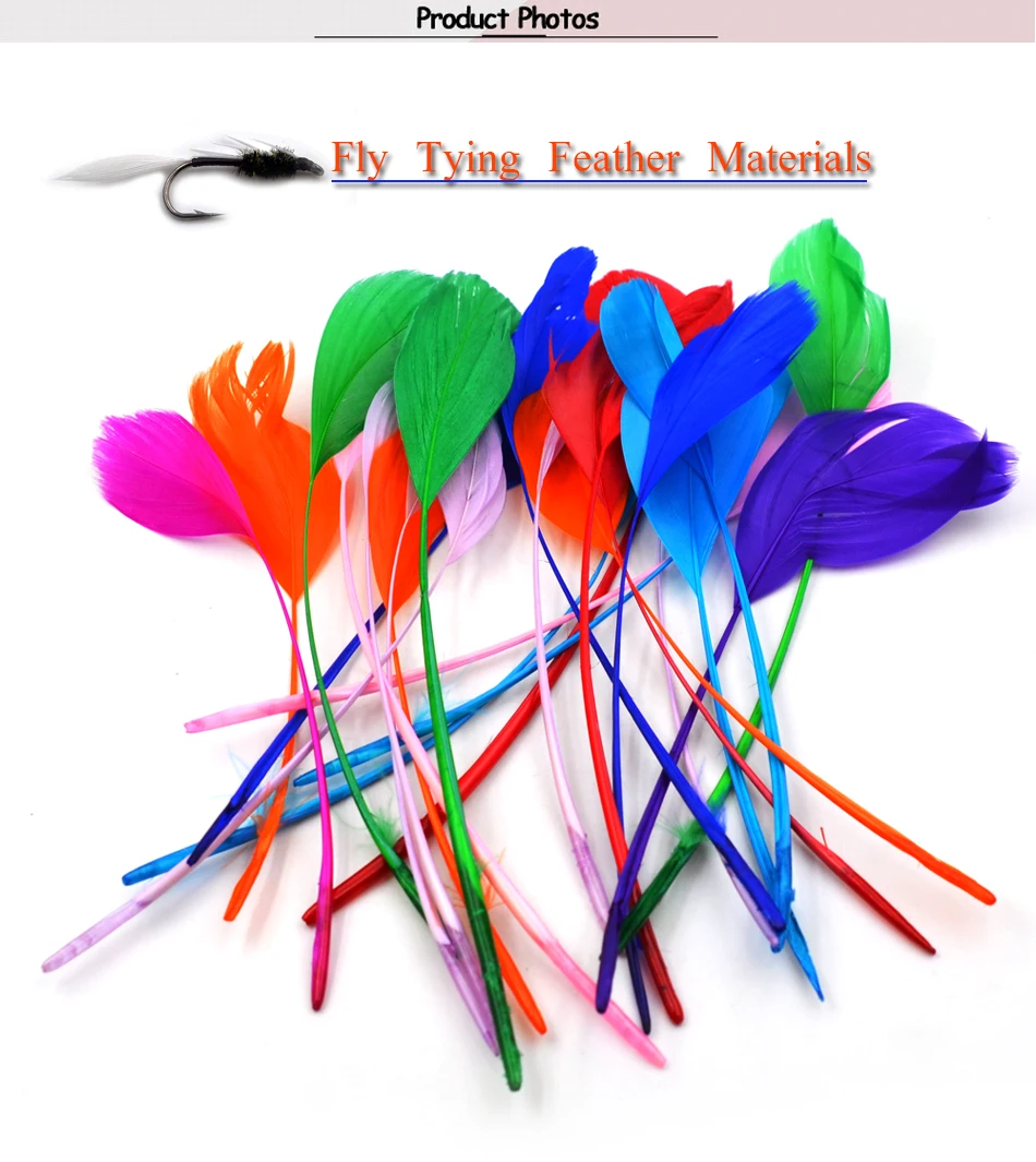 Plumas de lava peladas en tonos multicolores variados