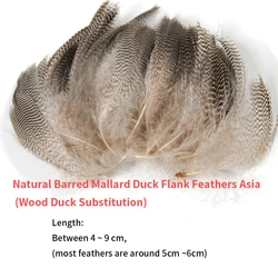 Wifreo plumas de pato mallard pelo ganso salvaje para atar moscas