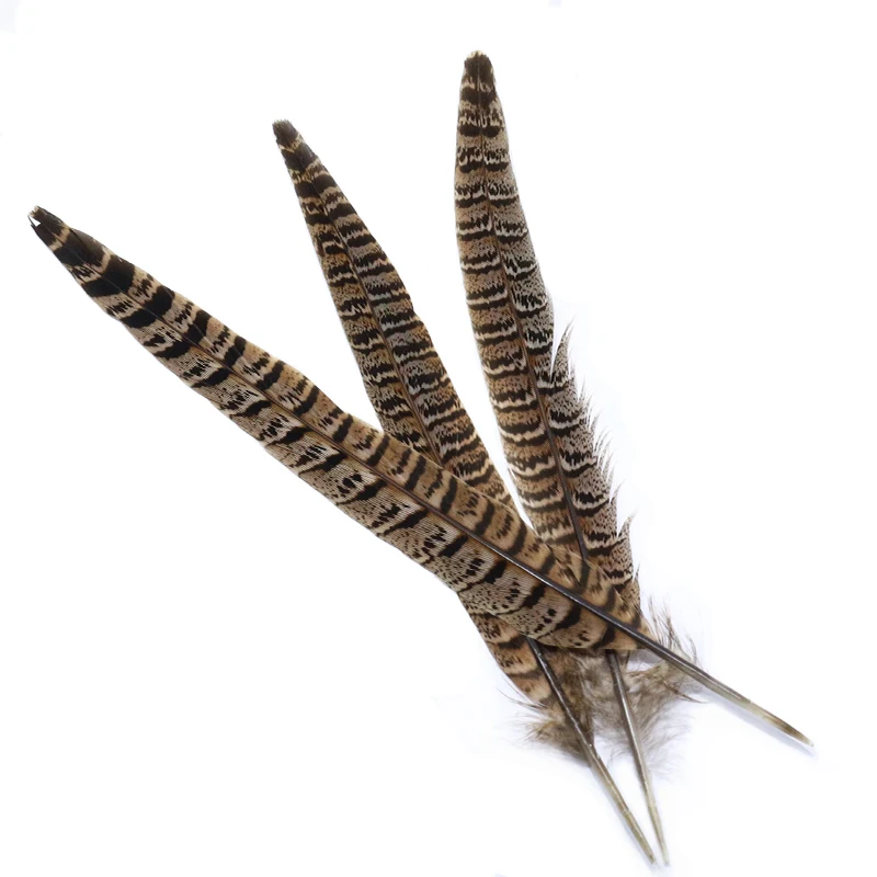 Plumas marrones naturales para atado