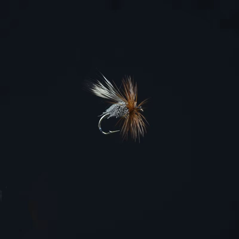 Dear Hair Sedge – Moscas secas para trucha imitación caddis - imagen 3