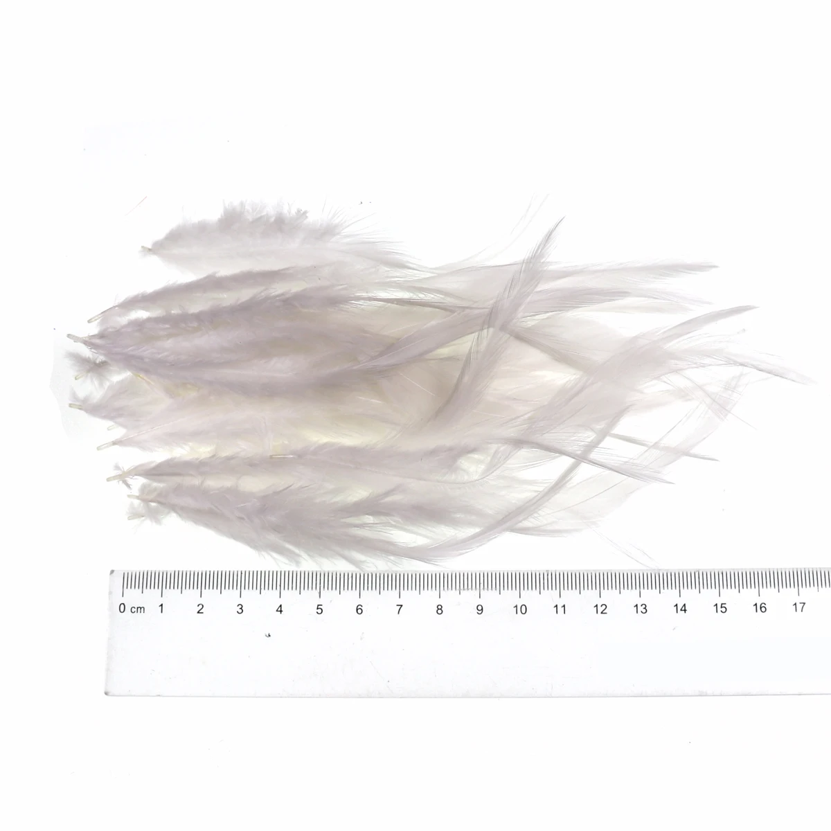 Detalle de pluma de hackle mostrando forma cónica