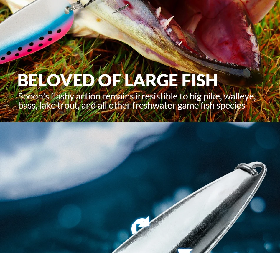 Comparativa de los diferentes tamaños del set de cucharas THKFISH