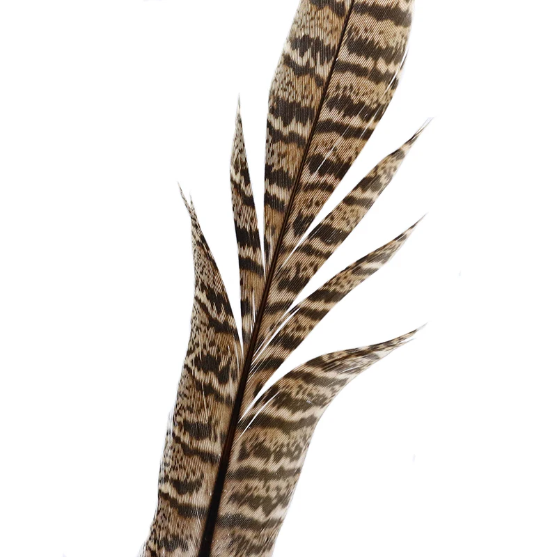 Persuader plumas Hen Pheasant marrón para moscas de trucha - imagen 4
