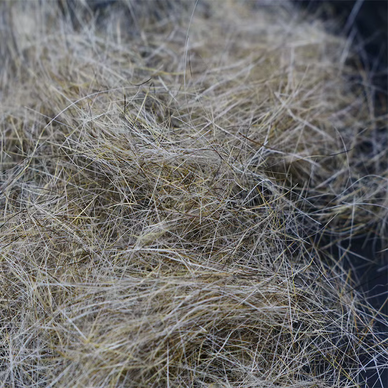 Royal Sissi Dubbing de Liebre Natural - imagen 4