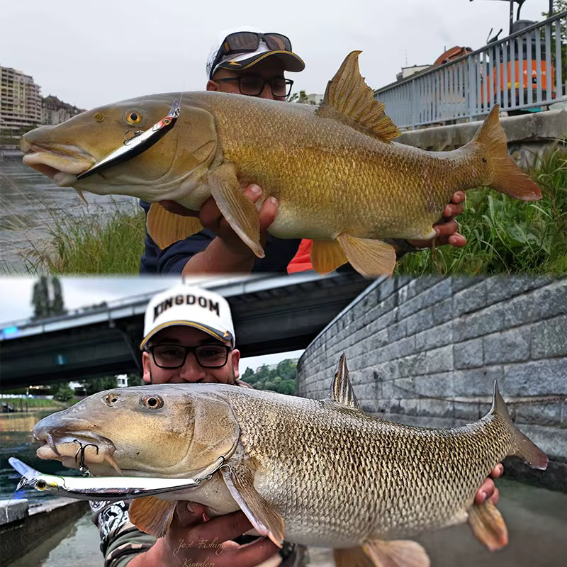 Señuelos Minnow Kingdom KINGART – Hundibles 60-105mm - imagen 4