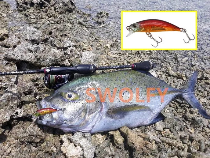 Ejemplo de pesca con el señuelo Tsurinoya en acción