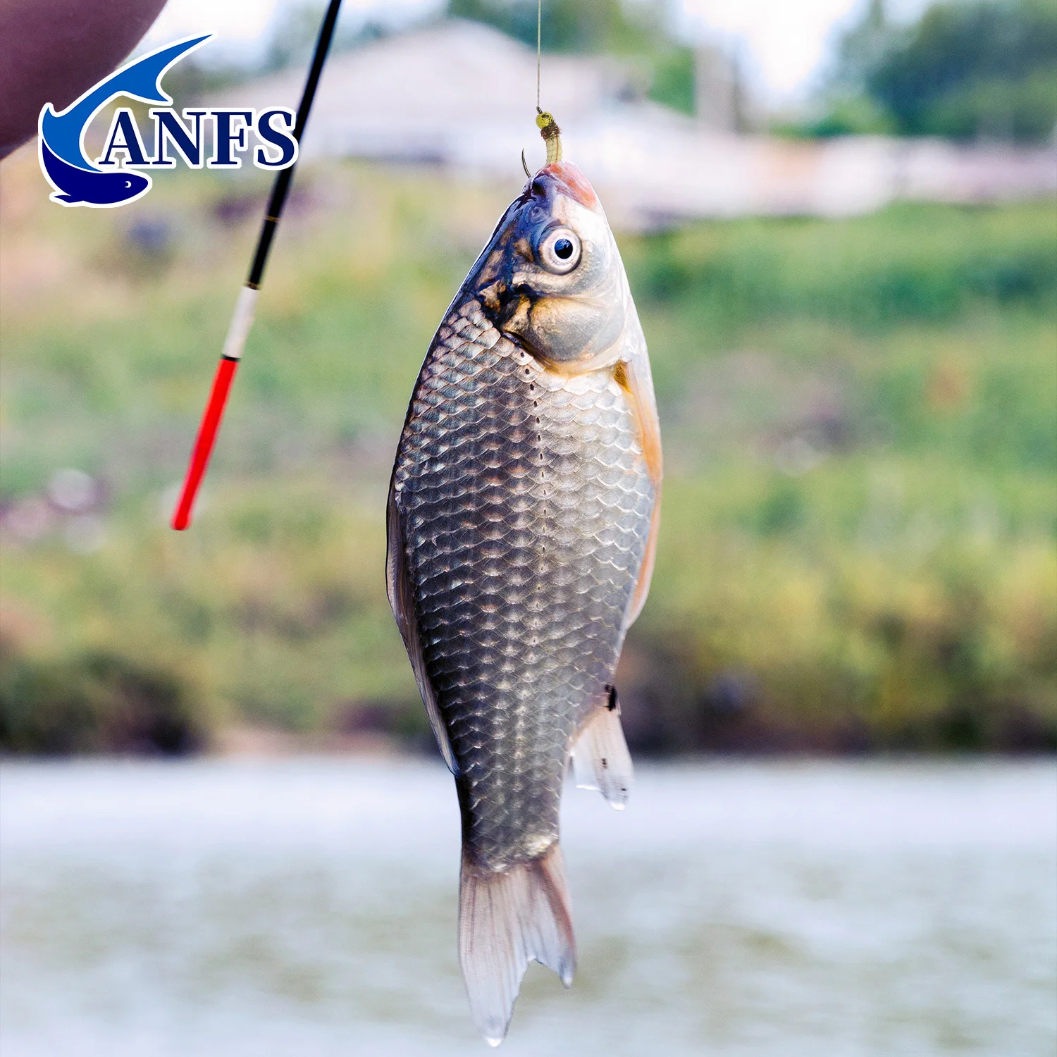ANFS Moscas ninfa tungsteno – Atadas a mano con caja para trucha - imagen 4