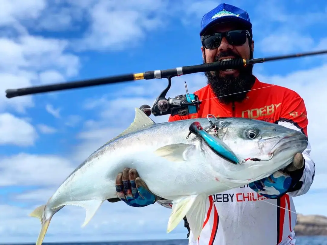 Wobbler topwater en tres tamaños diferentes sobre fondo marino