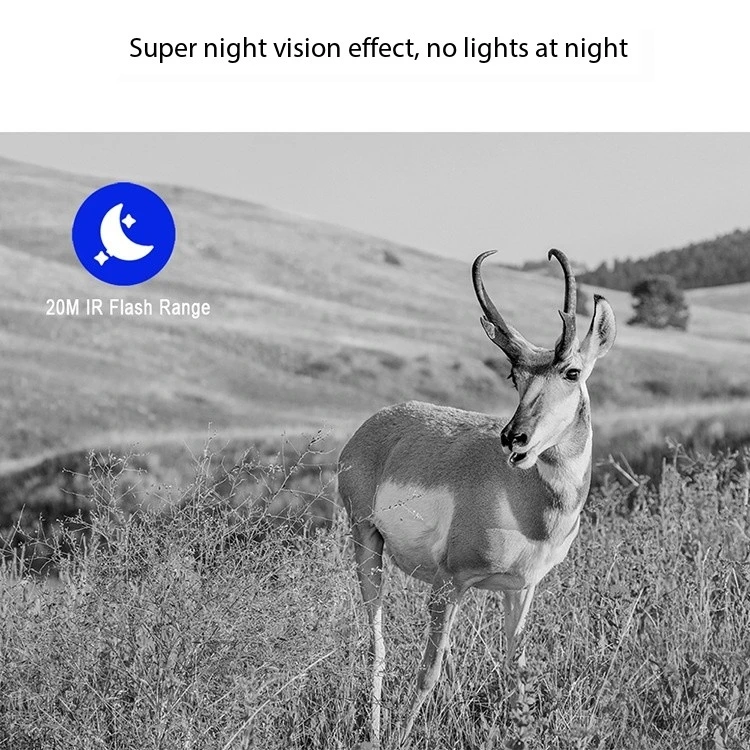 Ejemplo de imagen nocturna capturada