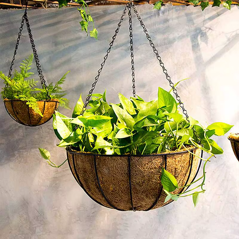 Cesta colgante metal para plantas 8/10 pulg. con forro coco - imagen 5