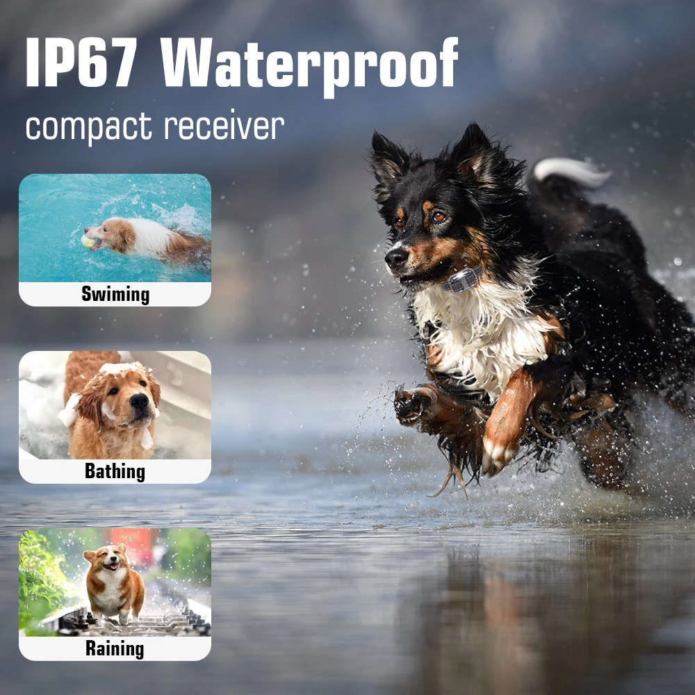 Collider de adiestramiento impermeable recargable con control remoto IP67 para perros - imagen 5