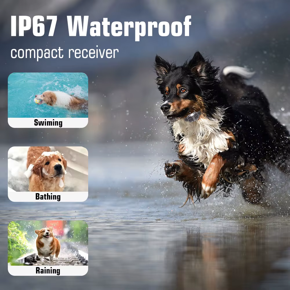 Collider de adiestramiento impermeable recargable con control remoto IP67 para perros - imagen 5