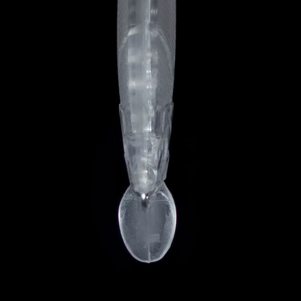 Countbass Señuelos duros blanco Wobbler sin pintar – Cebo pesca - imagen 2