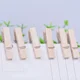 Mini pinzas de madera para ropa y fotos, clips naturales - imagen 4