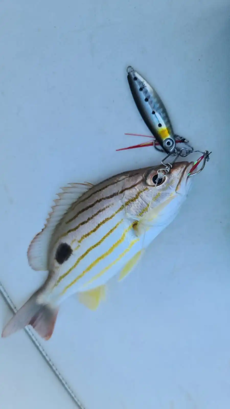 WeiHai FSTK Jig Metal Slow Fall – Cuchara para casting - imagen 2