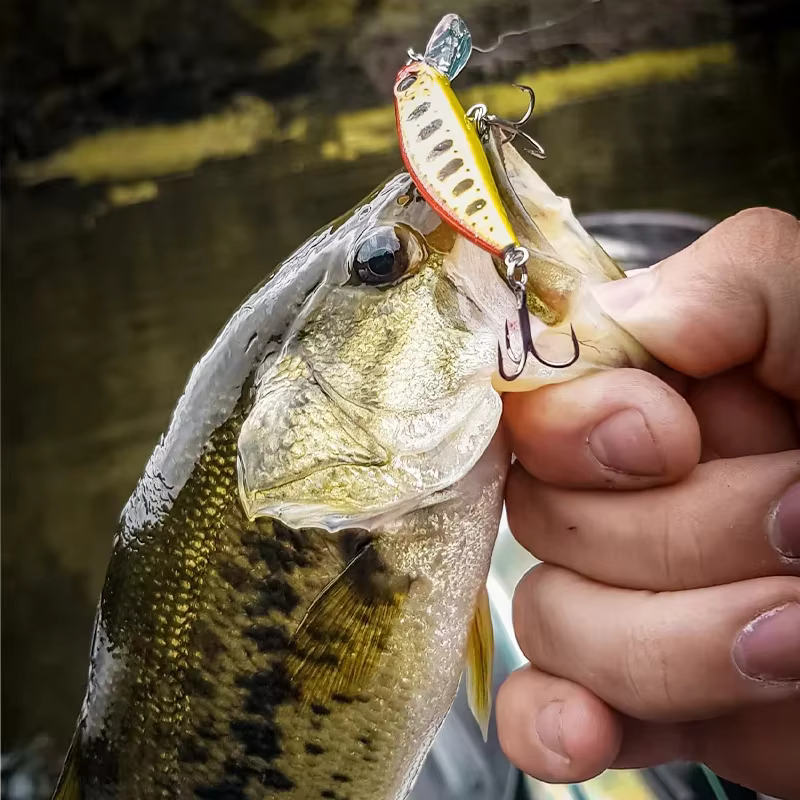 Señuelo Minnow Tsurinoya Intruder 51S – Hundimiento para Trucha - imagen 3