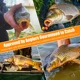 Aparejos carpa pre-atados plomo desmontable y línea trenzada - imagen 4