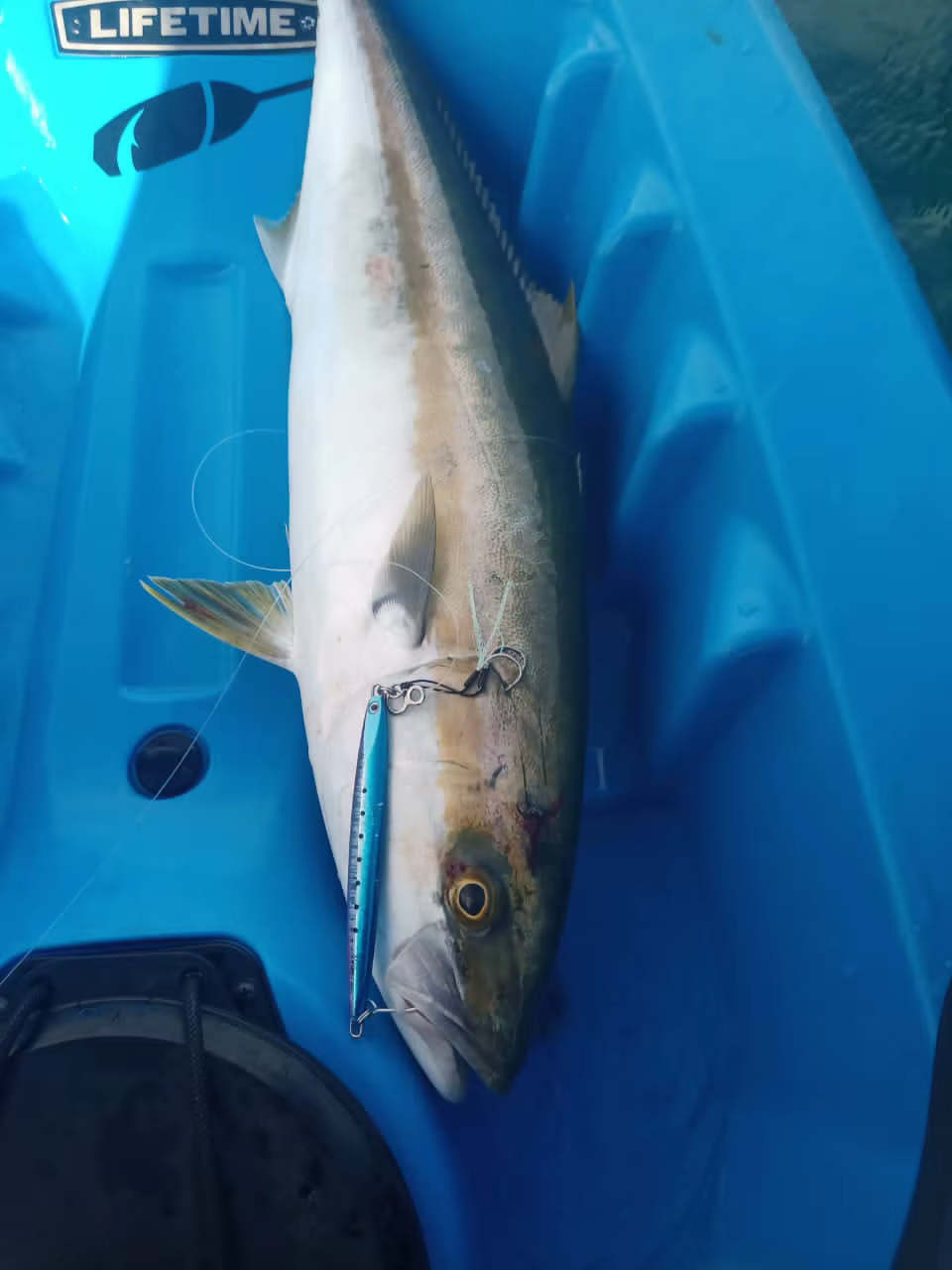 WEIHAI FSTK cuchara de jigging metálica larga súper delgada 20-30G