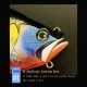 JEKEKU Wobbler SwimShad Glide flotante VIB para lucio y trucha - imagen 4