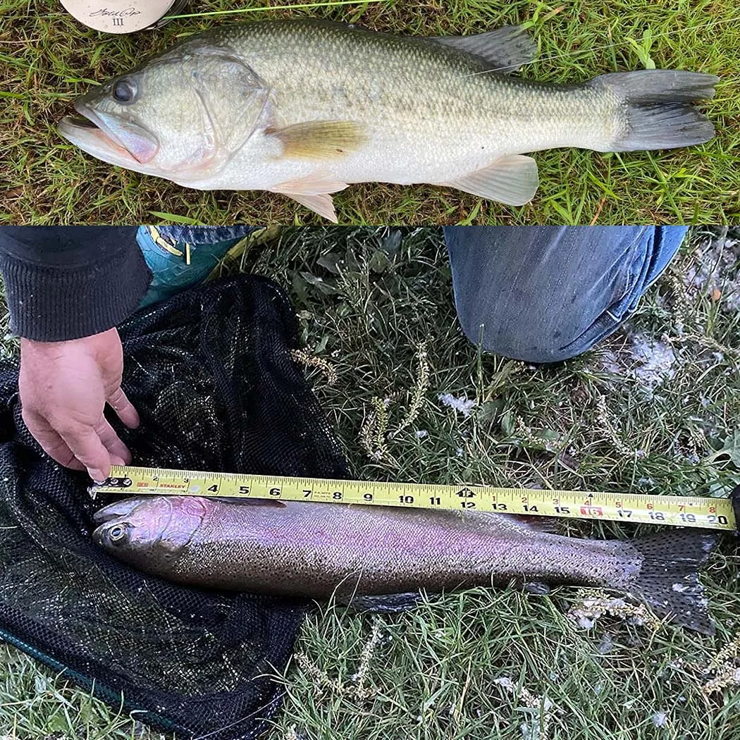 Mosca seca tras la pesca: cuidado y secado