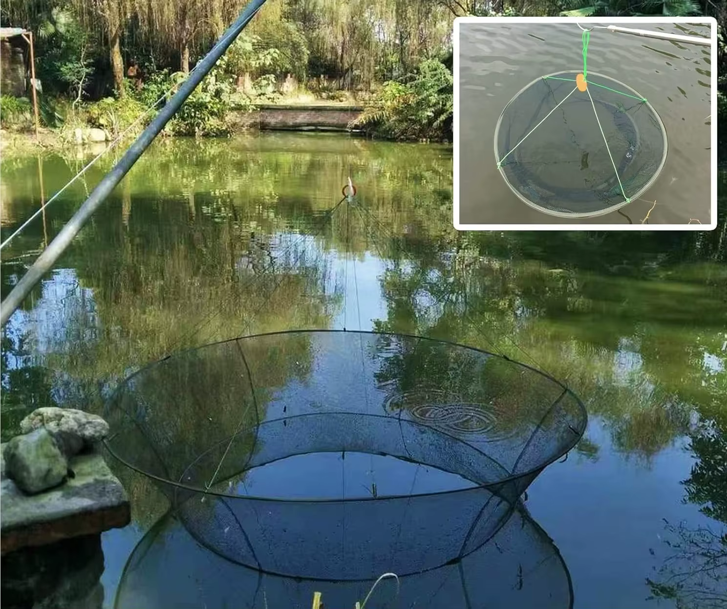 Red de aterrizaje plegable grande para gambas cangrejos y carpines - imagen 5