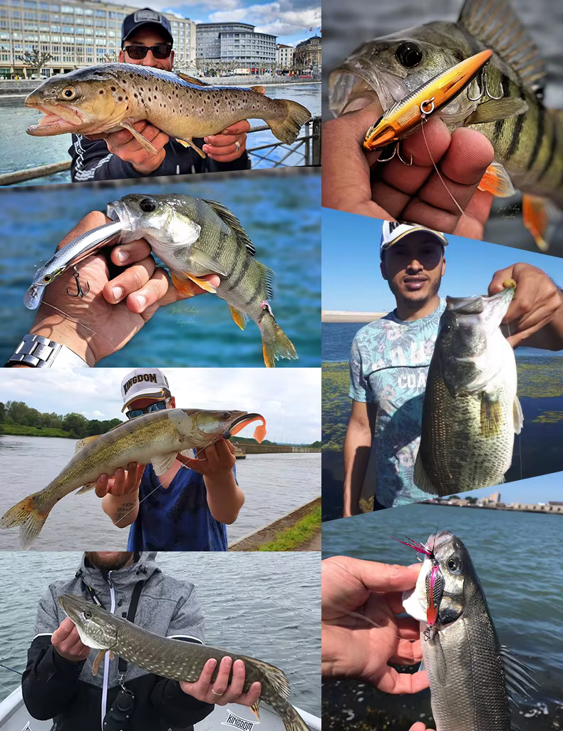 Kingdom Crankbait en color natural
