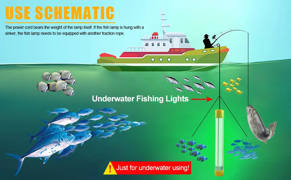 Luz LED instalada en barco en sesión de pesca nocturna