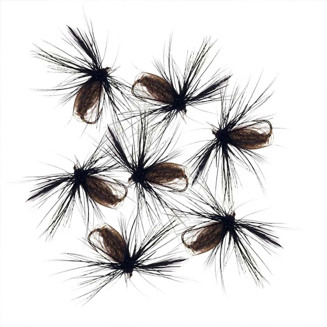 Mosca seca negra de escarabajo, alas pavo real, carpa/trucha - imagen 5