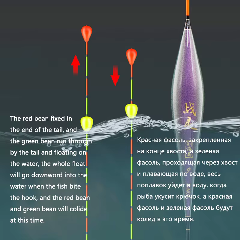 Flotador de pesca Vertical para carpa en agua dulce - imagen 5