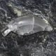 Señuelo flotante rígido Dr. Gnan para pesca en agua - imagen 4