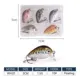 Hanlin crankbait biónico mini: señuelos duros para lucio y perca