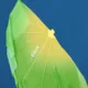 Abanico de danza Yangko degradado con diseño espina de pescado - imagen 4