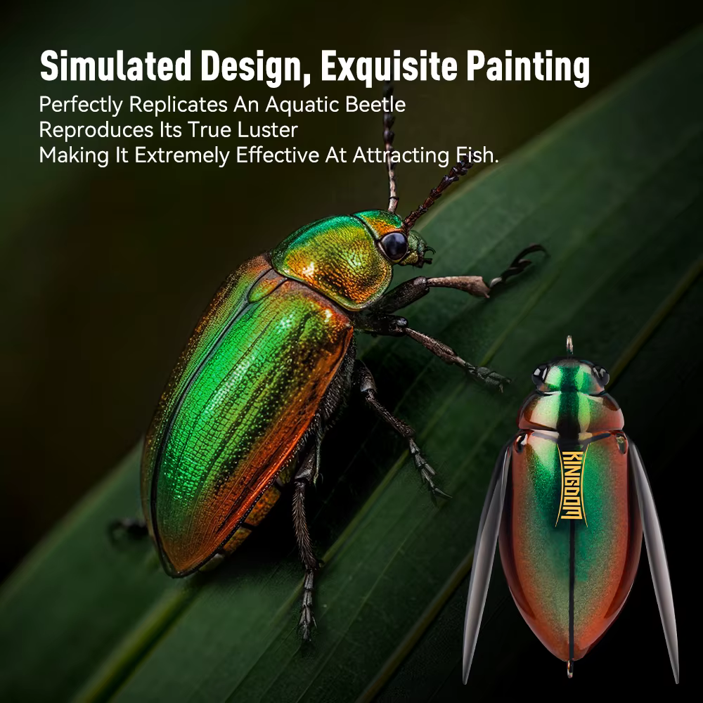 Kingdom GloamWing Beetle - Señuelo superficie insecto para lubina - imagen 4