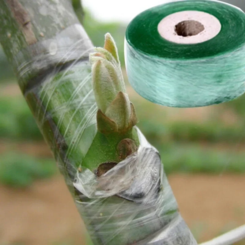 Aplicación en vivero