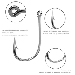 Anzuelos ISEAMA Japanese Ring – Acero carbono para carpa