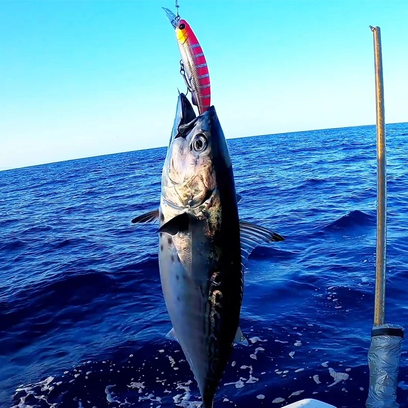 Señuelo hundido STRIKER TSURINOYA para pesca en el mar – atún - imagen 5