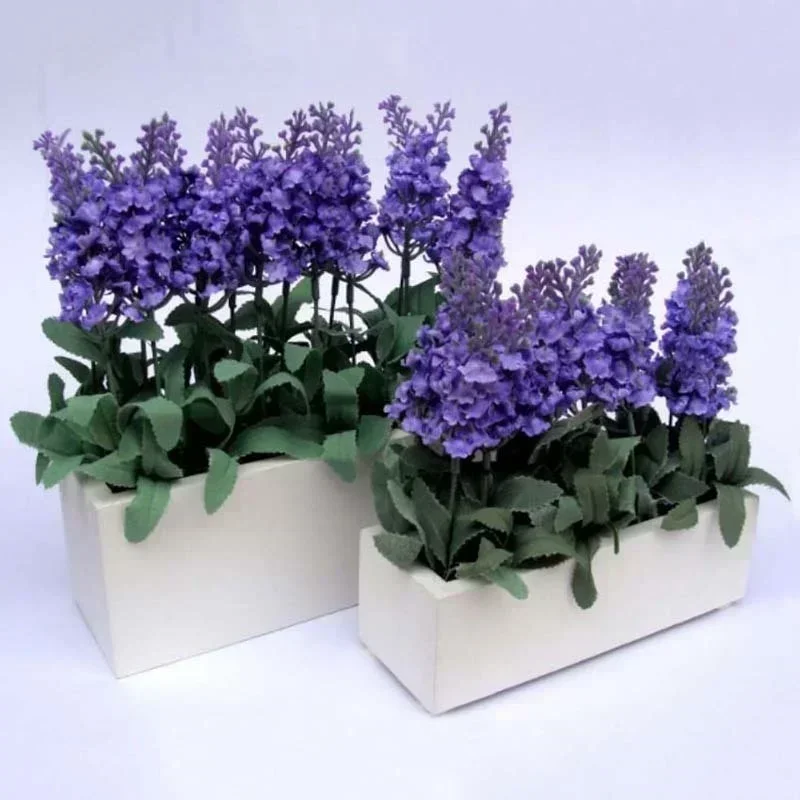 Combinación para decoración de eventos