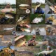Caña de pesca con mosca MAXIMUMCATCH Premier Pro con carrete y sedal - imagen 5
