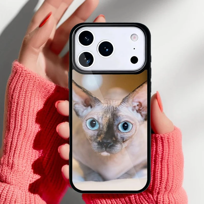 Detalle del diseño en relieve del gato Sphynx en la funda