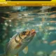 Línea monofilamento semiflotante VIKINGAR para pesca en mar - imagen 2