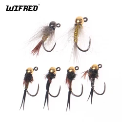 Wifreo Ninfa Tungsteno Sin Púas – Oreja de Liebre y CDC