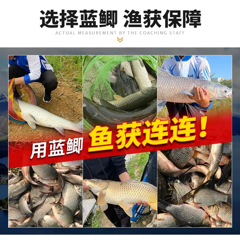 Cebo vinilo gallina Wang largo para carpa cruciana azul de campo - imagen 4